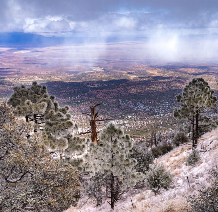 Sierra de Cananea 