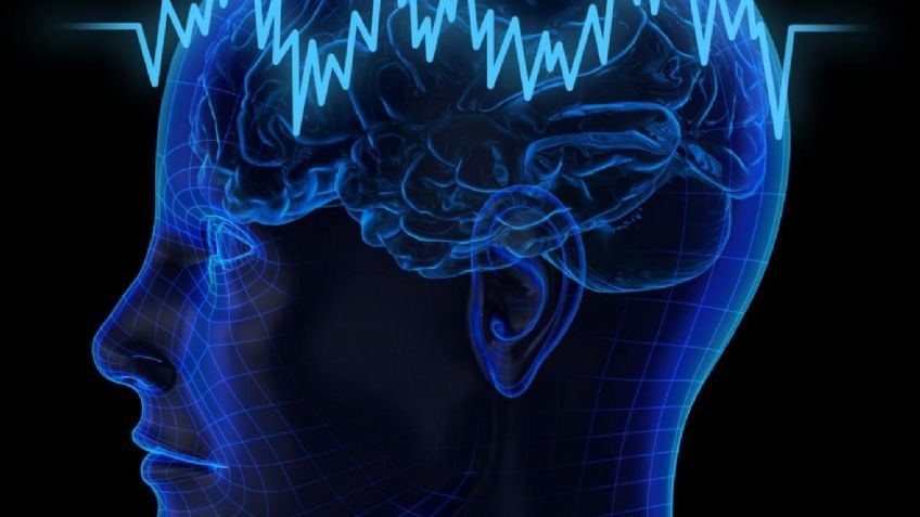 ¿Qué alimentos benefician al cerebro? Esto es lo que debes saber