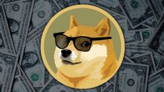 Dogecoin y Shiba Inu, ¿por qué se les llama criptomonedas meme?