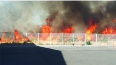 Guadalajara: se incendia pastizal cerca del Aeropuerto Internacional