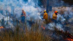 Incendios forestales amenazan México; hay 80 activos, 16 de ellos en Chihuahua