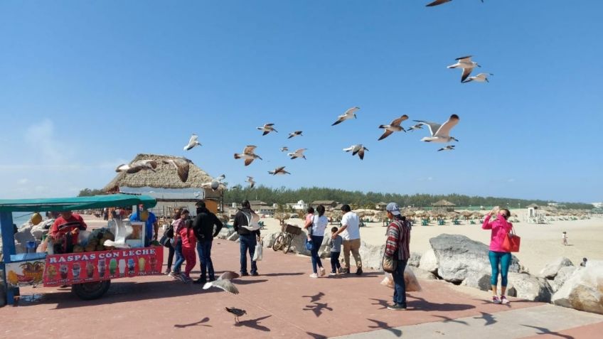 Playa Miramar libre de contagios de coronavirus