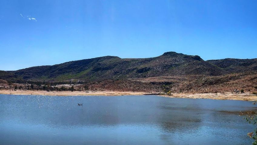 Sierra de San Miguelito en SLP será declarada Área Natural Protegida