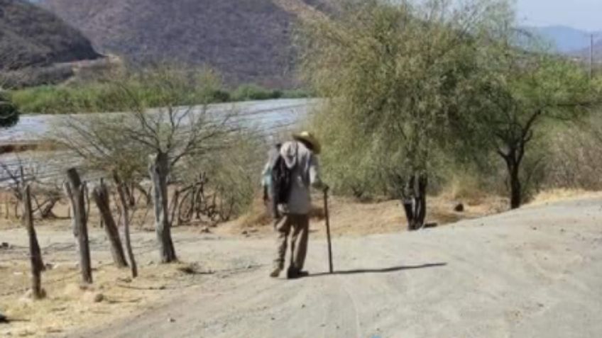 VIDEO VIRAL: ¡SORPRENDENTE! Anciano es atacado por un enorme enjambre de MOSQUITOS