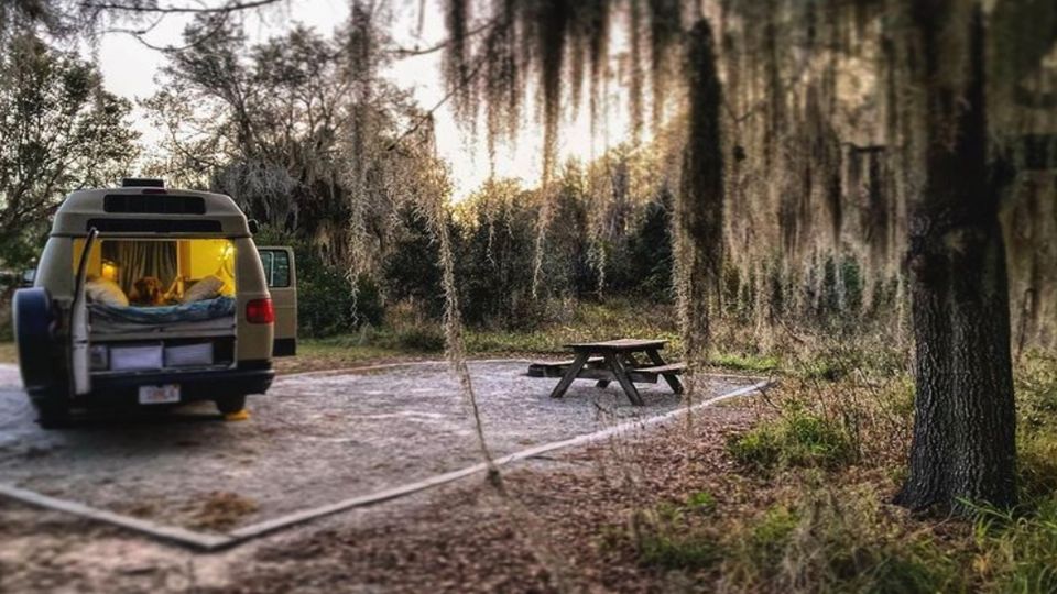 Personas han optado por Vans, camioneta o autobuses para convertirlos en su nuevo hogar. Foto; Archivo/ Instagram @mandyplesh