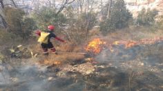 Zacatecas: Incendio en Cerro de La Bufa consume 18 hectáreas de pastizales