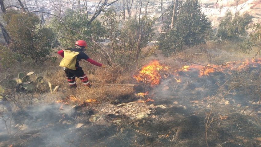 Zacatecas: Incendio en Cerro de La Bufa consume 18 hectáreas de pastizales