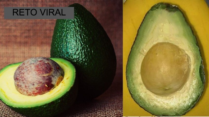 ¿Tú qué ves? Hay nuevo RETO VIRAL ¿Tiene o no semilla este aguacate?