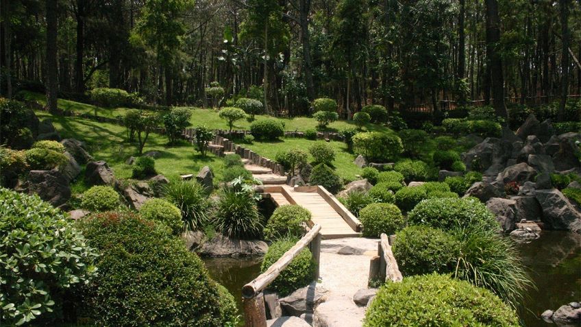 Jalisco es rico en Áreas Naturales Protegidas, ¿ya las conoces todas?