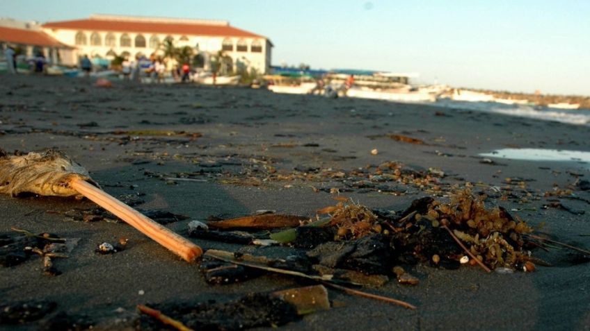 Habrá surada en Veracruz el fin de semana, ¿qué es este fenómeno meteorológico?