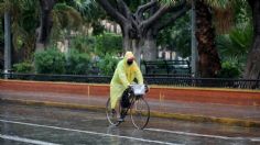 Frente Frío 19: Estos son los estados que tendrán fuertes lluvias, intensas heladas y rachas de viento