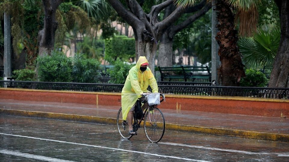 Temperaturas máximas de 30 a 35 °C en Sinaloa, Morelos, Puebla (suroeste), Tamaulipas, San Luis Potosí (oriente), Veracruz, Yucatán y Quintana Roo
(Foto: Cuartoscuro)