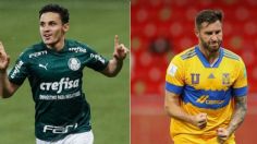 Tigres vs Palmeiras: vencen el descenso y ahora buscan la final del Mundial de Clubes