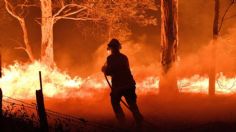 Crecen 421% los incendios forestales