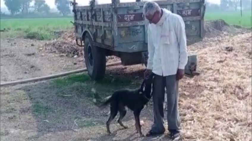 Abuelito hereda la mitad de su casa a su perrito; lo apoyó más que sus hijos