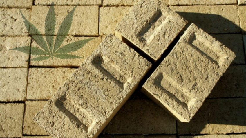 ¿Block de MARIGUANA? Uso del CÁÑAMO para la industria de la CONSTRUCCIÓN