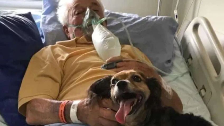 Abuelito recibe visita de su perrita en el hospital antes de morir por Covid-19