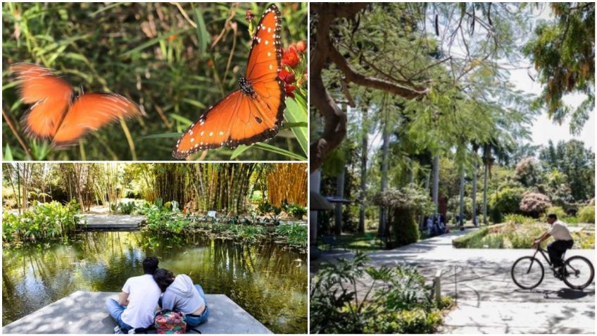 Jardín Botánico Culiacán, la fortaleza verde de Sinaloa 