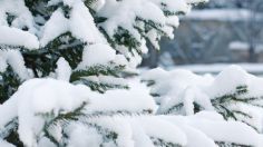 ¡Nieve y hielo consumen ciudad rusa! Nevada deja impresionantes imágenes de pueblo fantasma