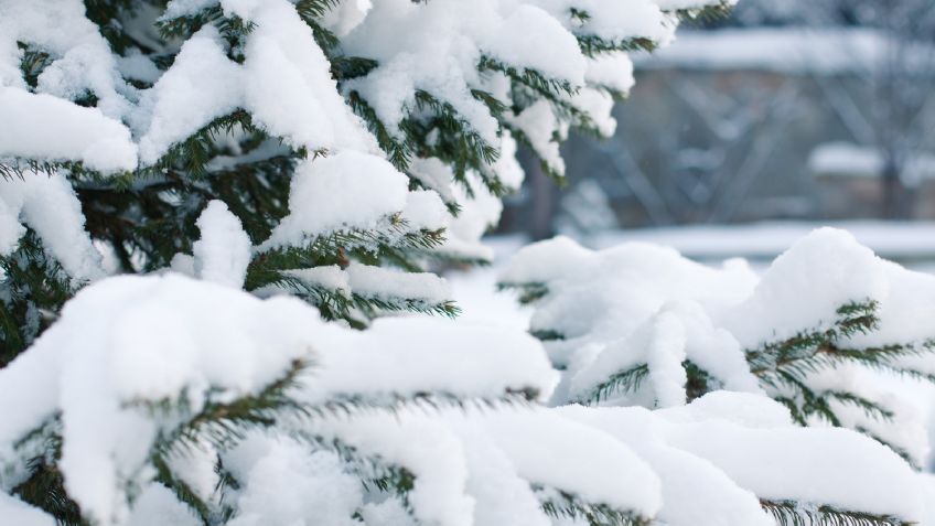 ¡Nieve y hielo consumen ciudad rusa! Nevada deja impresionantes imágenes de pueblo fantasma