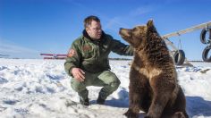 ¡OSO GRIZZLY! La estrella de las redes sociales, adoptado por aviadores: VIDEO