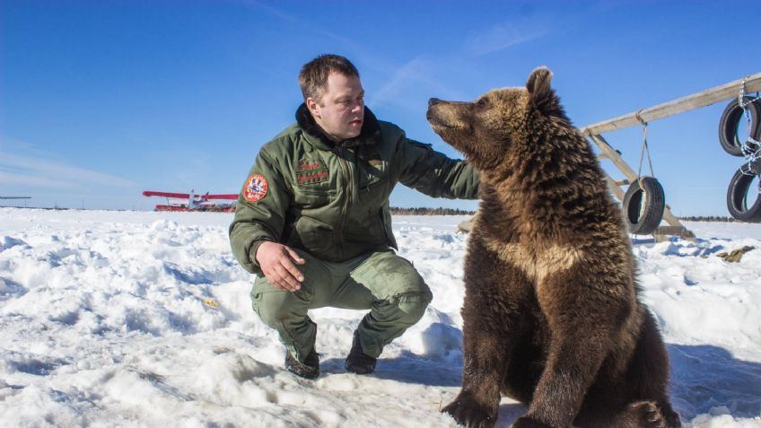 ¡OSO GRIZZLY! La estrella de las redes sociales, adoptado por aviadores: VIDEO