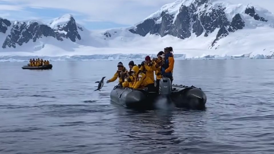 Los hechos ocurrieron en las congeladas aguas del estrecho de Gerlache, en la Antártida. Foto: Especial