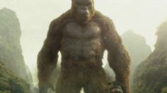 ¿Inspiración de la PELÍCULA "KING KONG? Sí existió un gorila gigante