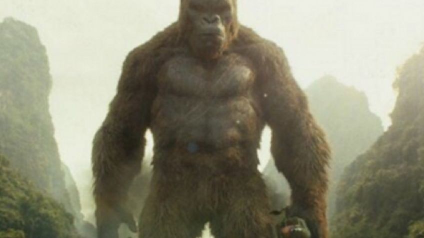 ¿Inspiración de la PELÍCULA "KING KONG? Sí existió un gorila gigante