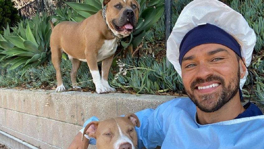 Jesse Williams de Grey's Anatomy celebra la CULTURA LATINA y lanza una app de juegos en su honor