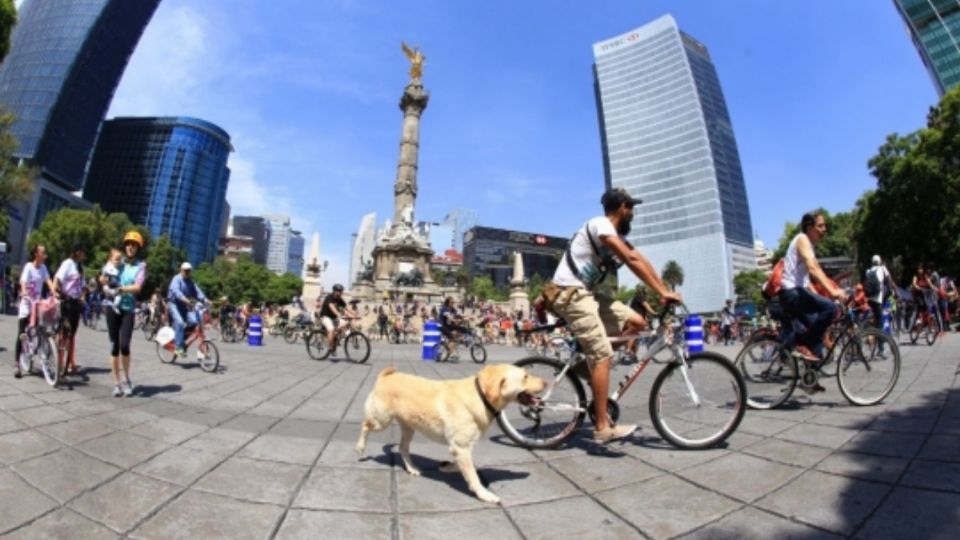 Los paseos en bicicletas regresan a la CDMX. Foto: Gobierno CDMX