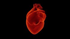 INFARTO fulminante: ¿Qué es y cómo PREVENIR la muerte súbita por este mal?