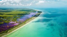 SISAL: El NUEVO Pueblo Mágico en YUCATÁN; una de las PLAYAS más cristalinas de México | FOTOS