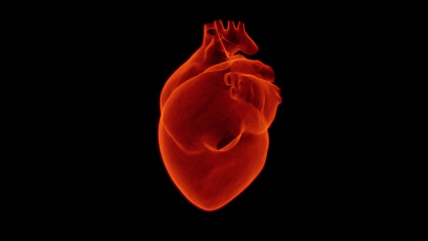 INFARTO fulminante: ¿Qué es y cómo PREVENIR la muerte súbita por este mal?