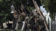 México-Tenochtitlán: Cambiarán de nombre al Árbol de la noche triste y la avenida Puente de Alvarado