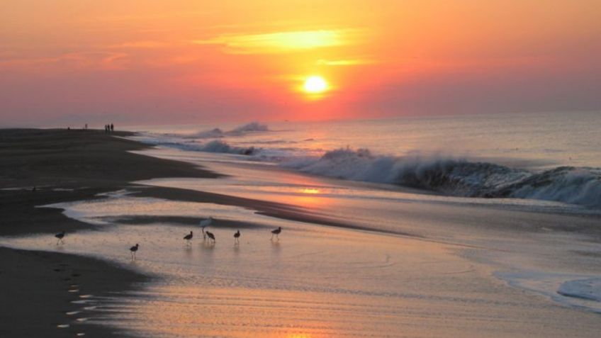 CONOCE Michigan, la playa virgen paradisíaca  para ACAMPAR en Guerrero