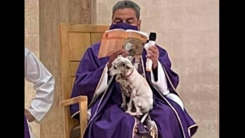 Sacerdote de Torreón, Coahuila, cuida a su perrita durante misa: VIRAL