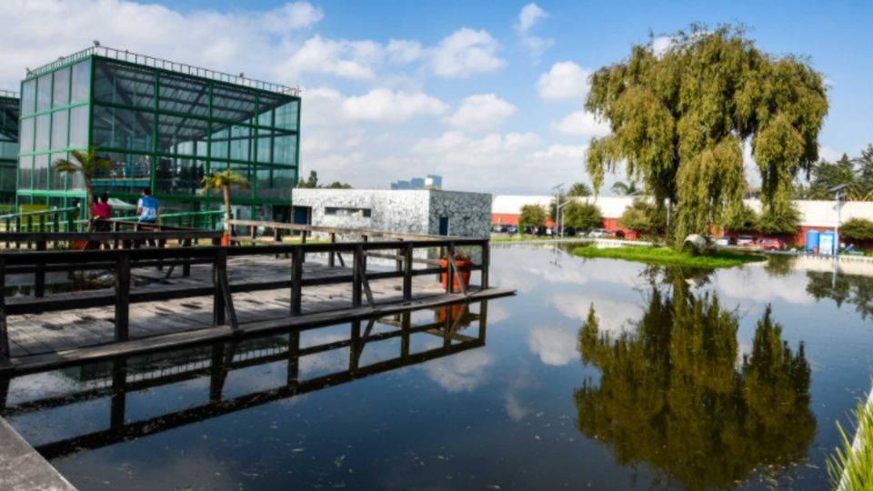 Parque Bicentenario: Conoce el mágico lugar de la CDMX que cuenta con su propio LAGO I FOTOS