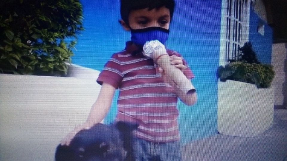 Santiago Fabila es el niño reportero que salió en busca de su amigo, un perrito callejero, para ayudarlo. Foto: Especial