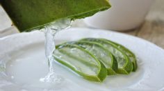 ¿Cómo hacer shampoo de aloe vera para el cabello? Receta fácil para hacer en casa