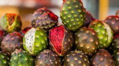 ¡Autorizan la Feria de la Pitaya en Guadalajara y también la venta de empanadas!