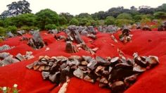 ¡Sorprendente! Conoce las extrañas DUNAS ROJAS en éste pueblo de Hidalgo: FOTOS