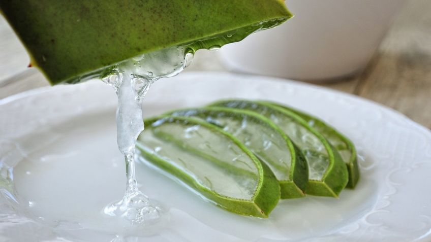 ¿Cómo hacer shampoo de aloe vera para el cabello? Receta fácil para hacer en casa