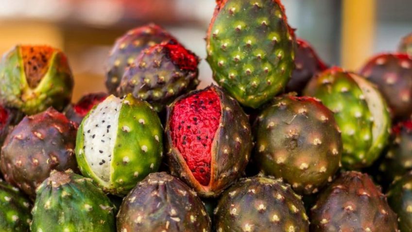 ¡Autorizan la Feria de la Pitaya en Guadalajara y también la venta de empanadas!