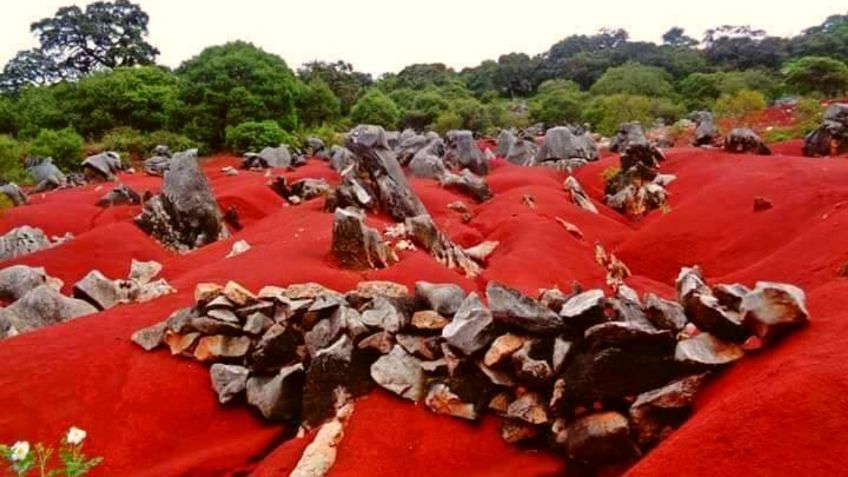 ¡Sorprendente! Conoce las extrañas DUNAS ROJAS en éste pueblo de Hidalgo: FOTOS