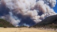 Fuerte incendio consume la Sierra de Arteaga, en Coahuila: VIDEOS