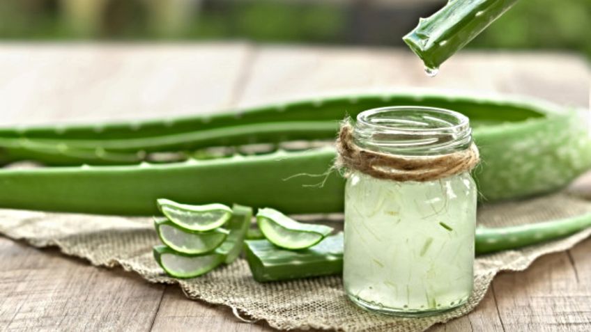 Elabora tu propio gel de aloe vera natural en casa; te decimos cómo conservarlo: VIDEO