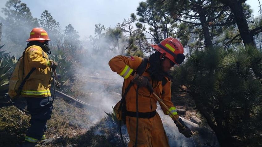 Nuevo León: Continúan combatiendo incendios en Galeana, por cuarto día consecutivo