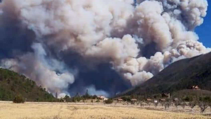 Fuerte incendio consume la Sierra de Arteaga, en Coahuila: VIDEOS