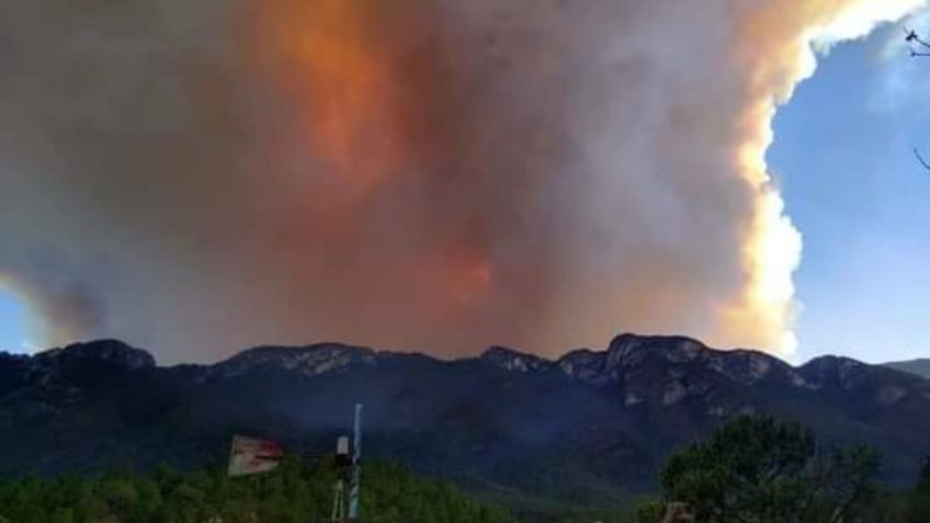 Arde la Sierra de Arteaga en Coahuila: Recomendaciones en caso de incendio forestal